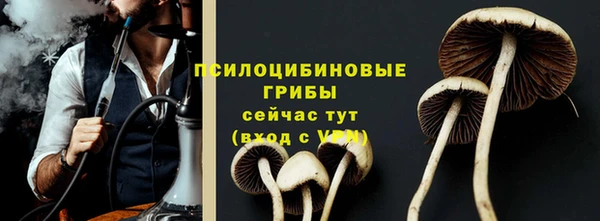 хмурый Армянск