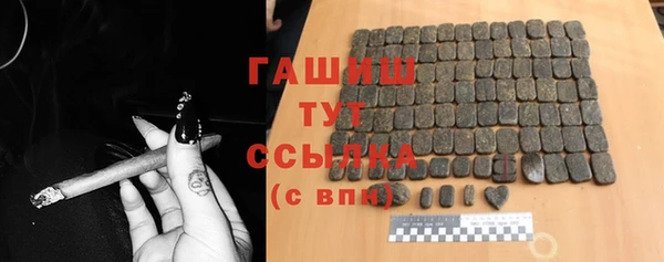 стаф Арсеньев