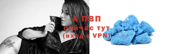 стаф Арсеньев