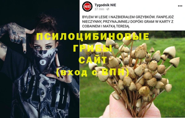 MDMA Premium VHQ Аркадак