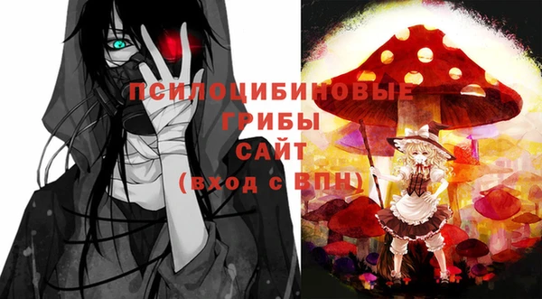 хмурый Армянск